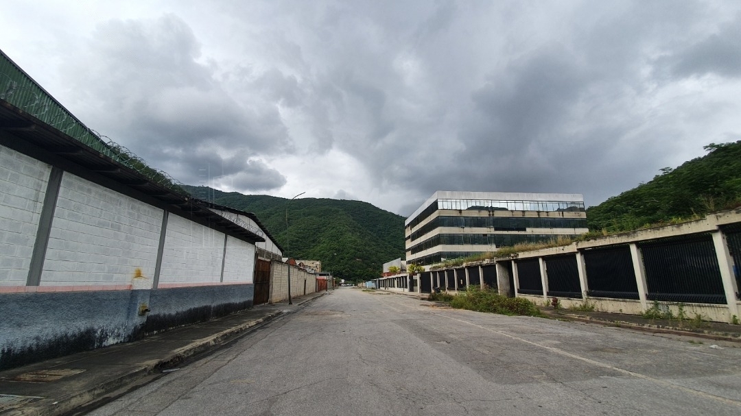 WhatsApp Image 2023-10-05 at 3.52.57 PM