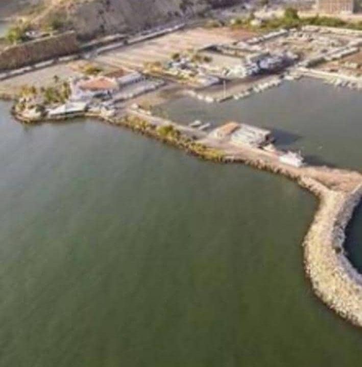 WhatsApp Image 2025-09-11 at 14.35.21 (4)