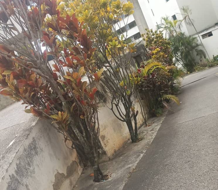 WhatsApp Image 2026-04-13 at 15.07.59 (6)